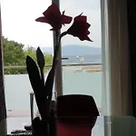 Ivancic 2 Apartment
