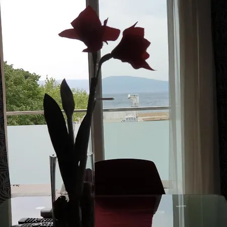 Ivancic 2 Apartment